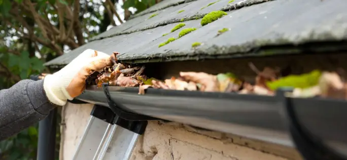 preview-full-GUTTER-CLEANING