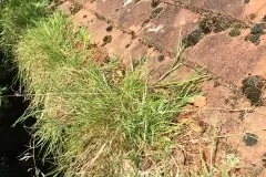 1_Unknown-14