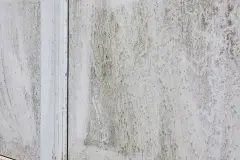 1_Unknown-11